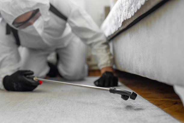 Professional Ant Control technician working in Chardon, OH