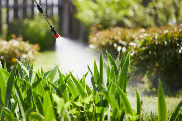 24/7 Emergency Ant Control experts in Chardon, OH